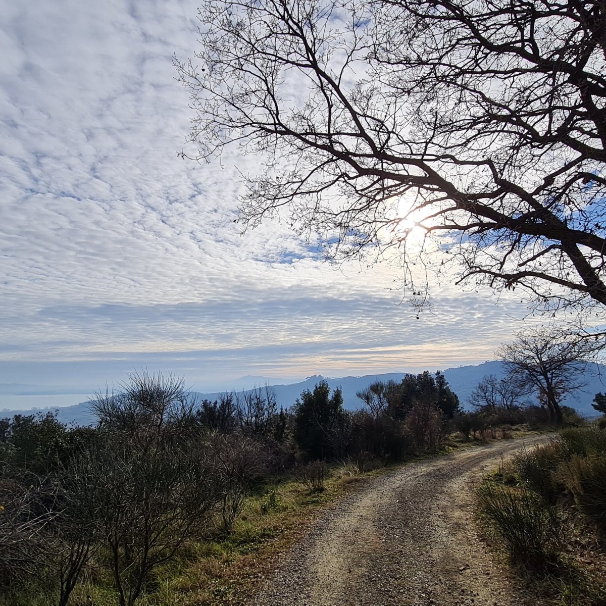 Tra Annibale e Flaminio